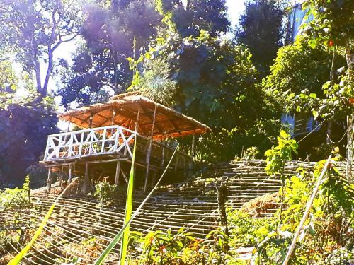 Дарджилинг: Suma Aavaas Farm And Homestay