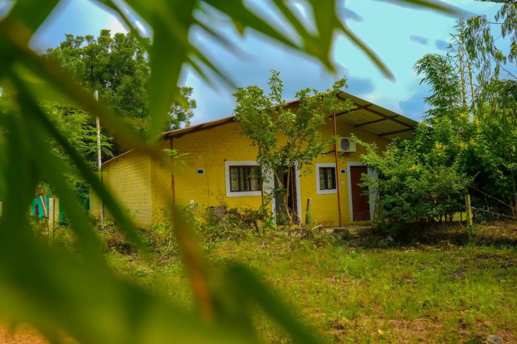 Бхамдели: Tadoba Safari Stay Nature's Sprout