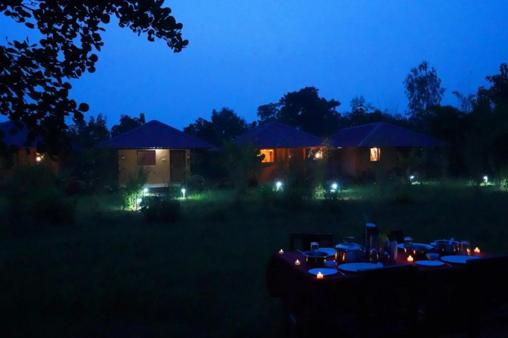 Бхамдели: Tadoba Safari Stay Nature's Sprout