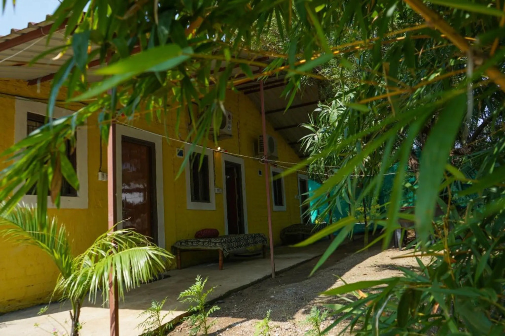 Бхамдели: Tadoba Safari Stay Nature's Sprout