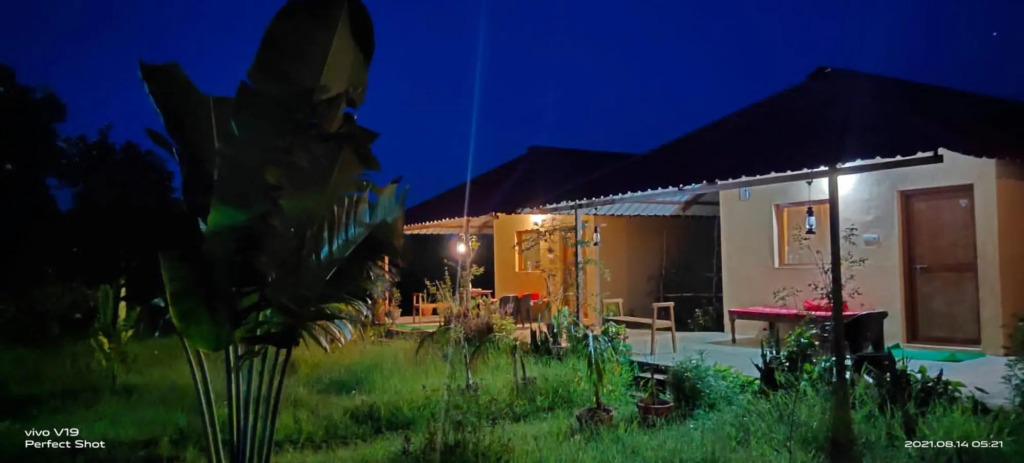 Бхамдели: Tadoba Safari Stay Nature's Sprout