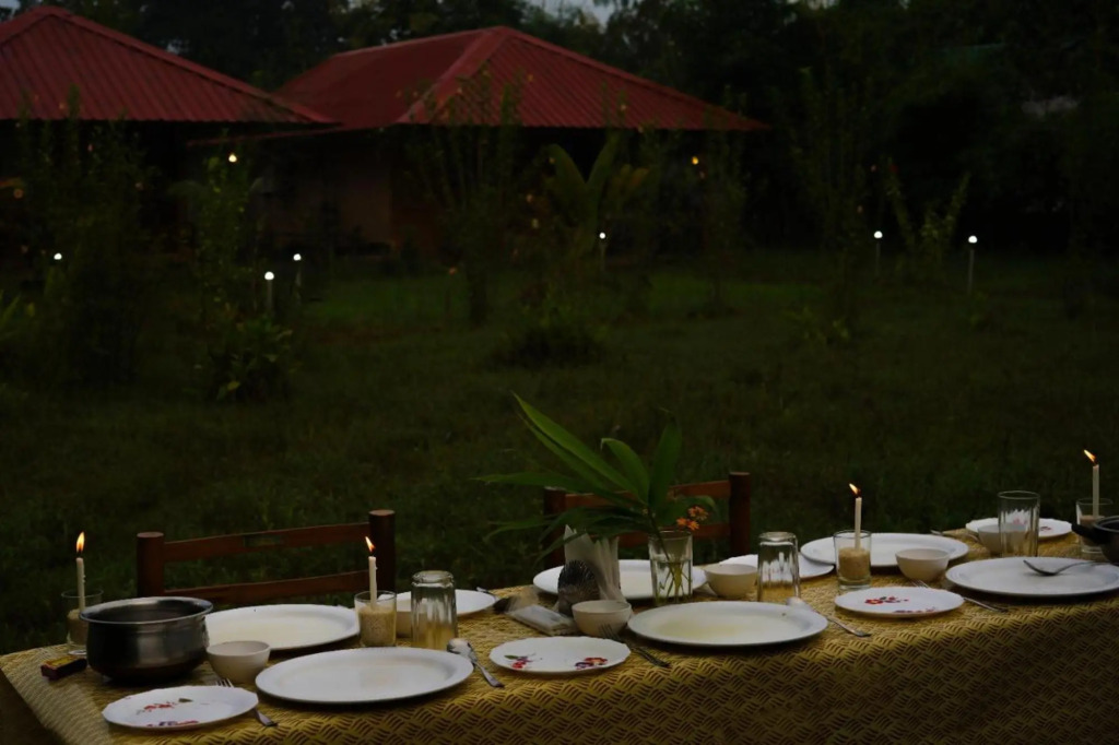 Бхамдели: Tadoba Safari Stay Nature's Sprout