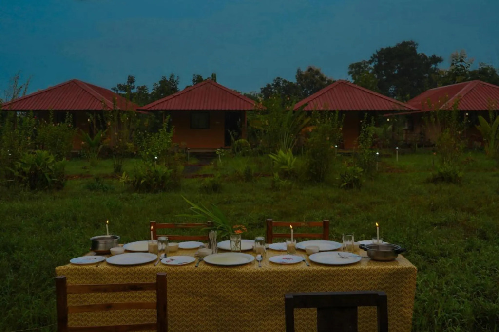 Бхамдели: Tadoba Safari Stay Nature's Sprout