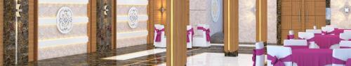 Бясанагар: Hotel Natraj Royal