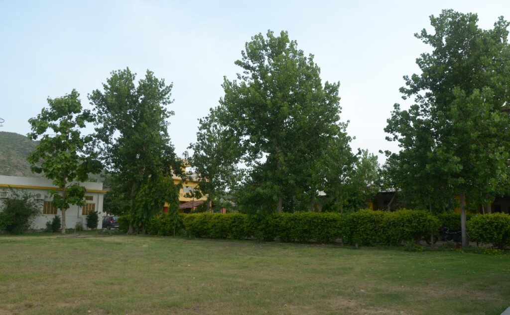 Пушкар: Rajasthan Resort