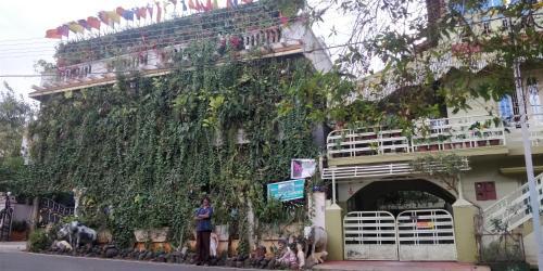 Майсур: Vertical Garden Hostel