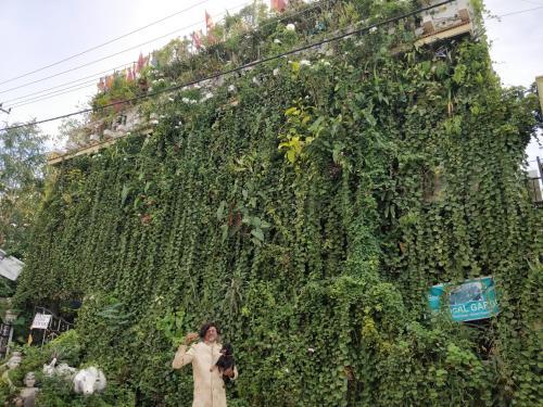 Майсур: Vertical Garden Hostel