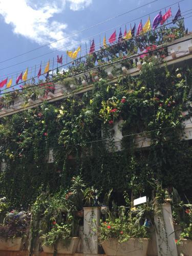 Майсур: Vertical Garden Hostel