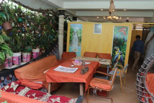 Майсур: Vertical Garden Hostel