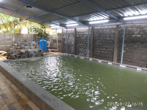 Киим: Dolphin House