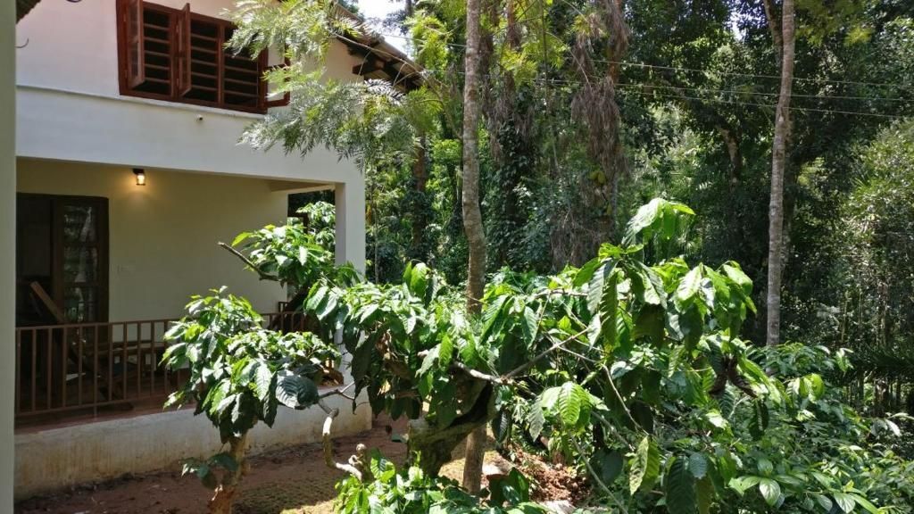 Кушалнагар: Natura Vista A Plantation Stay