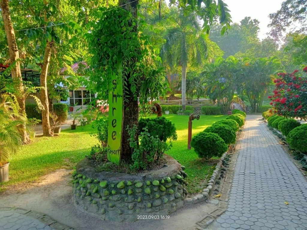Кохора: Dhanshree Resort