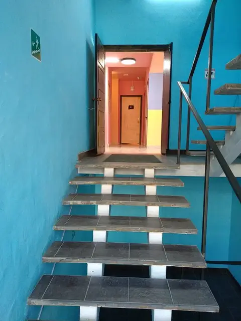 Хостел Вежливый Лось на Ботаническом Саду — фото 2