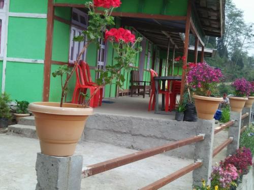 Калимпонг: Vamoose Renu