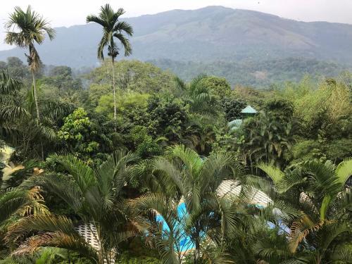 Муннар: Wyte Mist Mountain Club