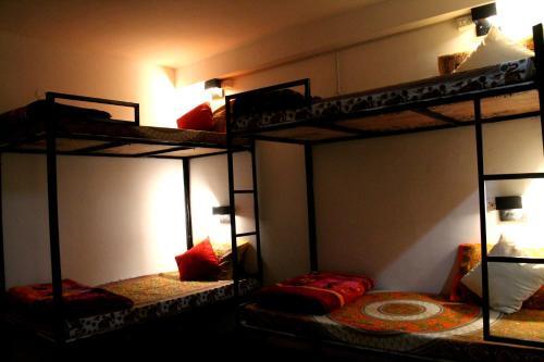 Манали: Bro's Backpacker's Fraternity House