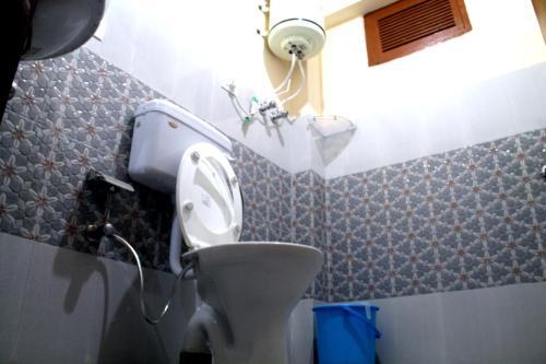 Манали: Bro's Backpacker's Fraternity House