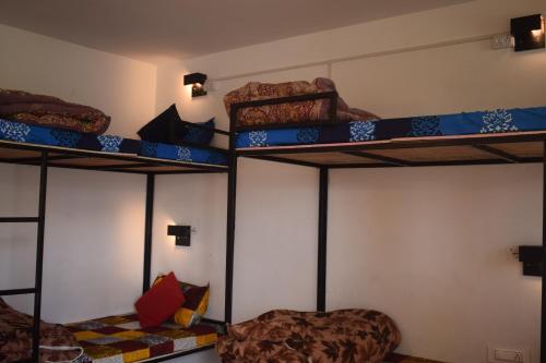 Манали: Bro's Backpacker's Fraternity House
