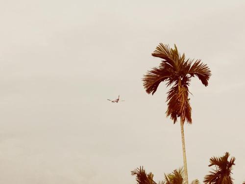 Порт-Блэр: Signature Stay