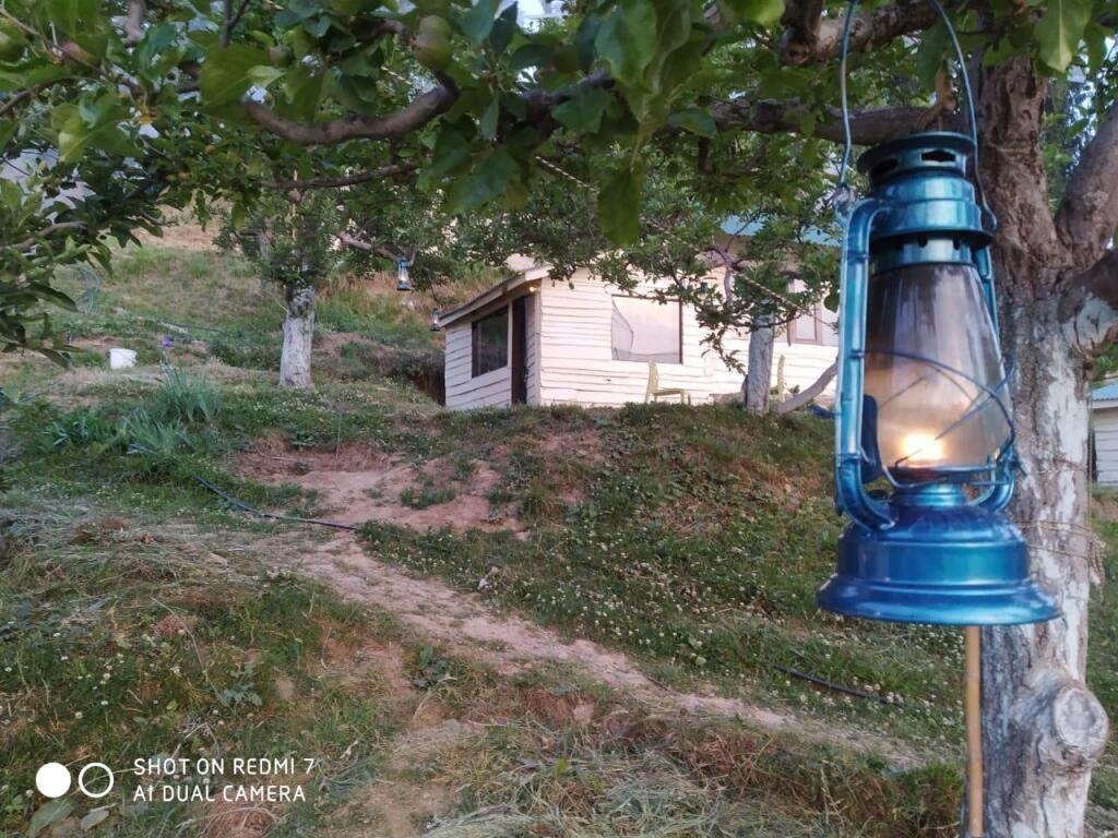 Куфри: Apple Farms Kufri