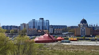 Калининград: Квартира Сердце Кёнигсберга о. Канта