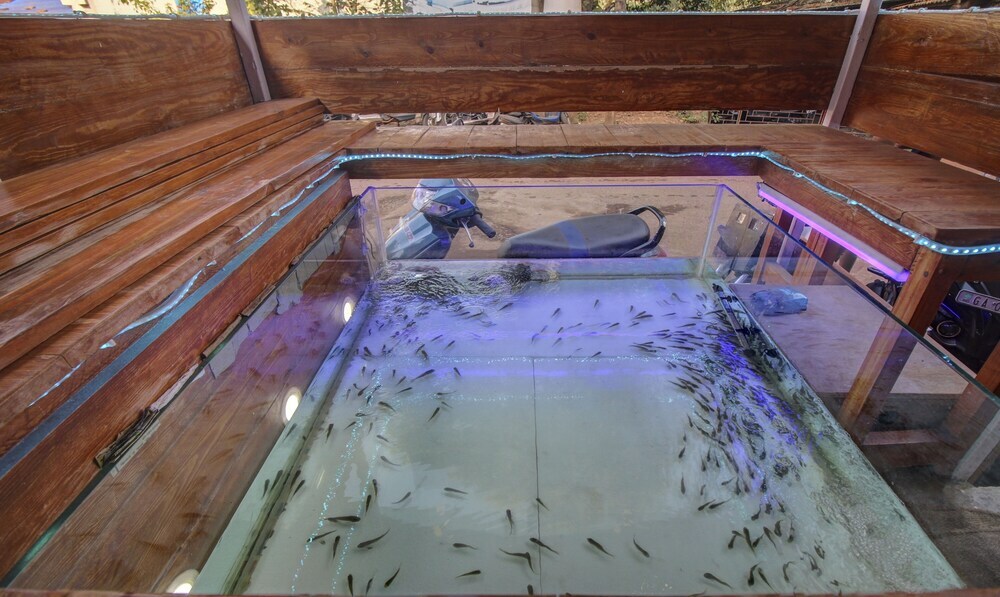 Арпора: Hotel Lazy Fish Arpora by Treebo