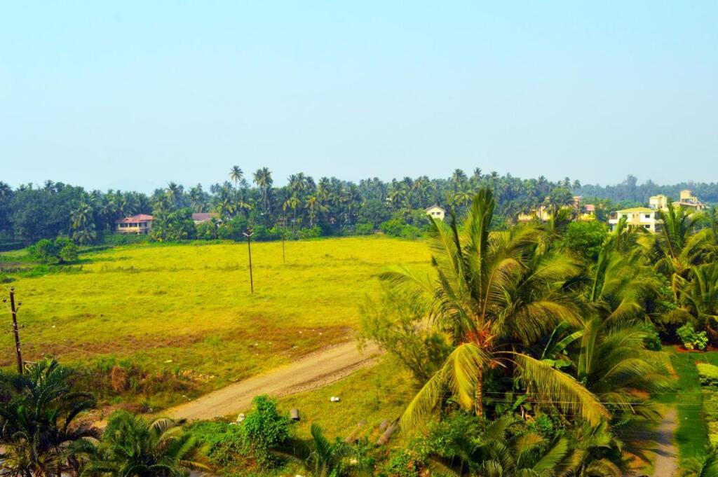 Киим: Nilaya Nest Away