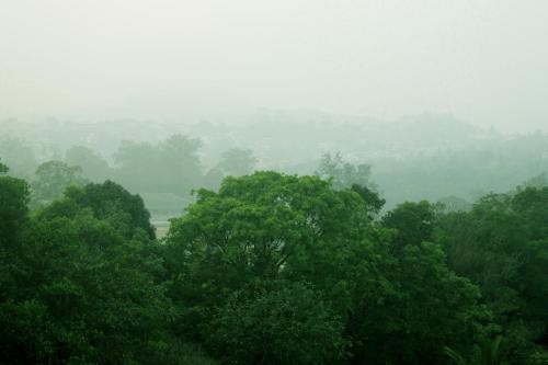 Мадикери: Holidayincoorg Silver nest Homestay