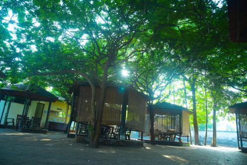 Паллипурам: Victory Inn Park Residency