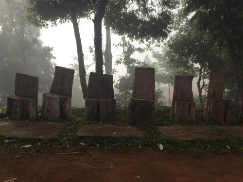 Sakleshpur: Saalugudda Homestay