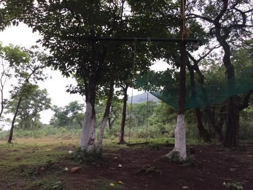 Sakleshpur: Saalugudda Homestay