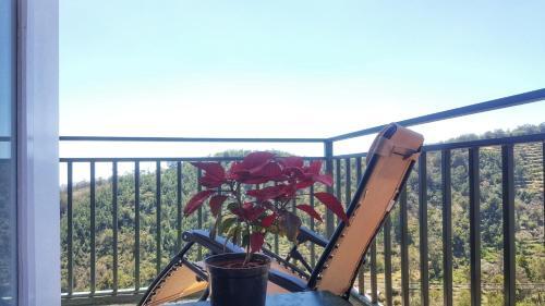 Кодайканал: Cloudwalks Kodaikanal