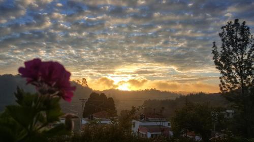 Кодайканал: Cloudwalks Kodaikanal
