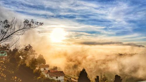 Кодайканал: Cloudwalks Kodaikanal