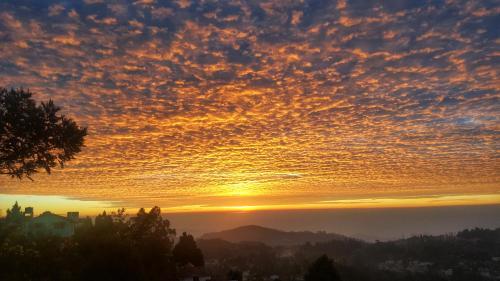 Кодайканал: Cloudwalks Kodaikanal