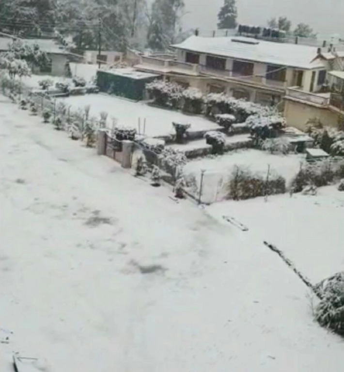 Раникхет: Goroomgo Tribhuwan Ranikhet