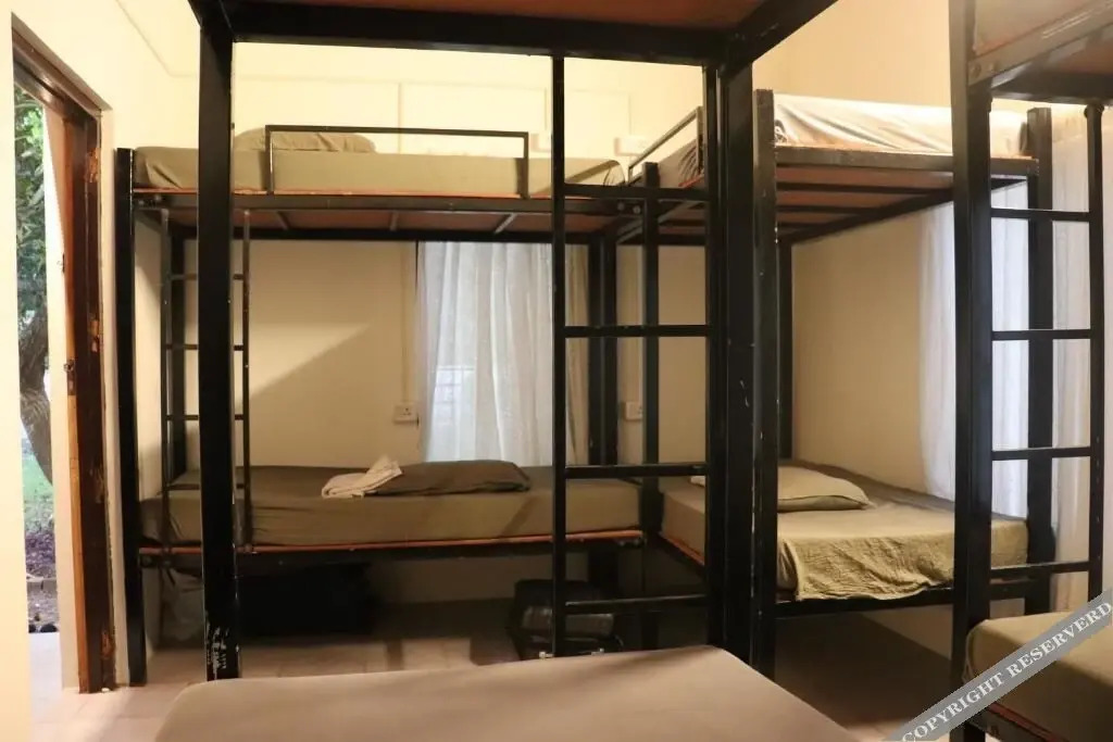 Варкала: Piggy Hostel Varkala
