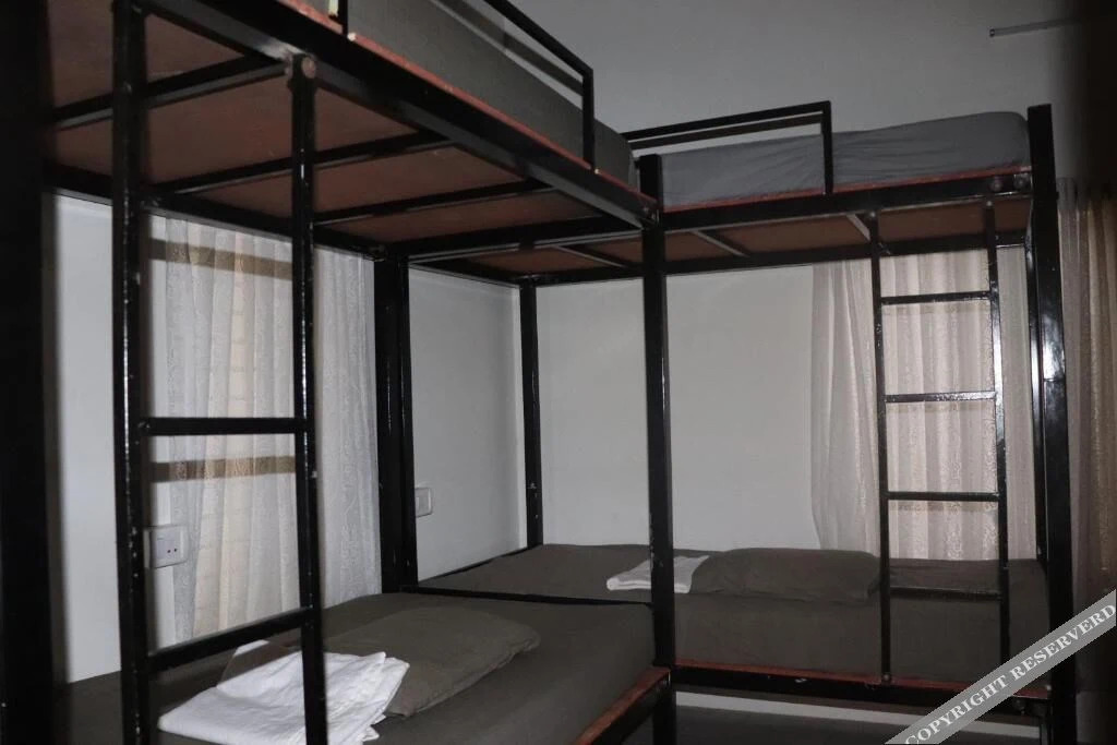 Варкала: Piggy Hostel Varkala