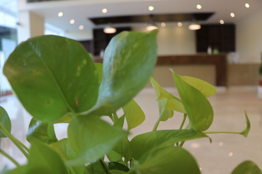 Висакхапатнам: Gadiraju Palace Convention Centre & Hotel