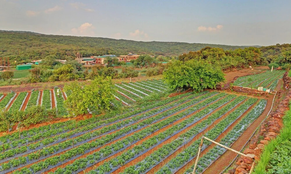 Олд-Махабалешвар: Treebo Berry Hill Venna Lake, 3 Km From City Center
