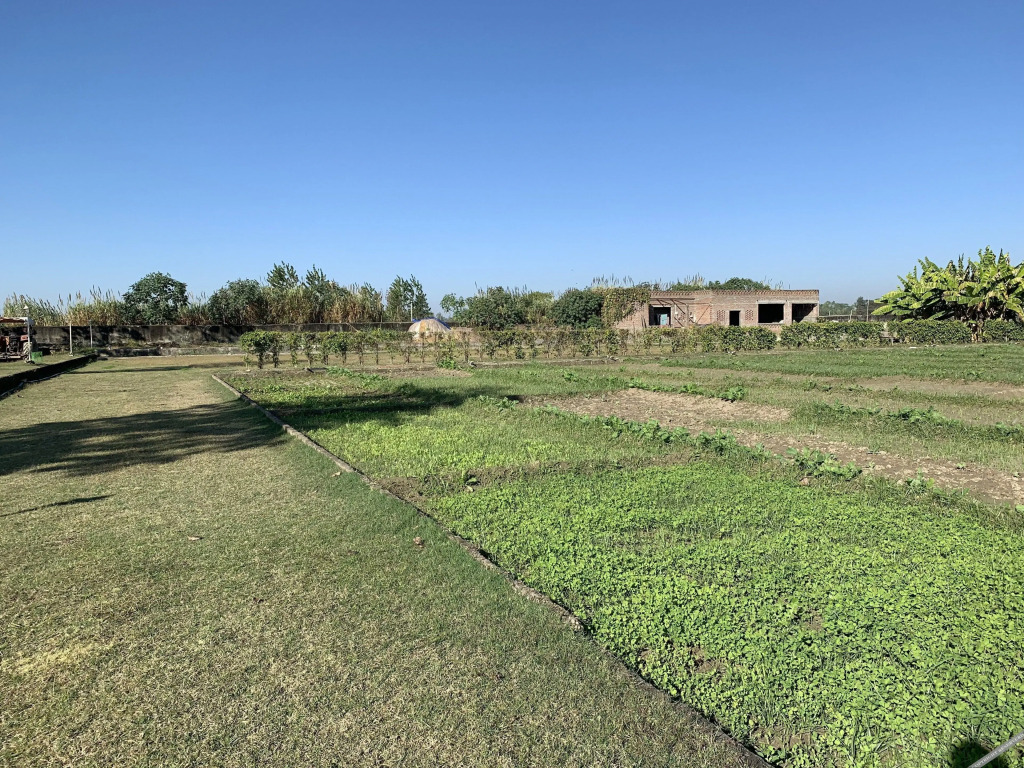 Нурпур: Anand at the Satluj