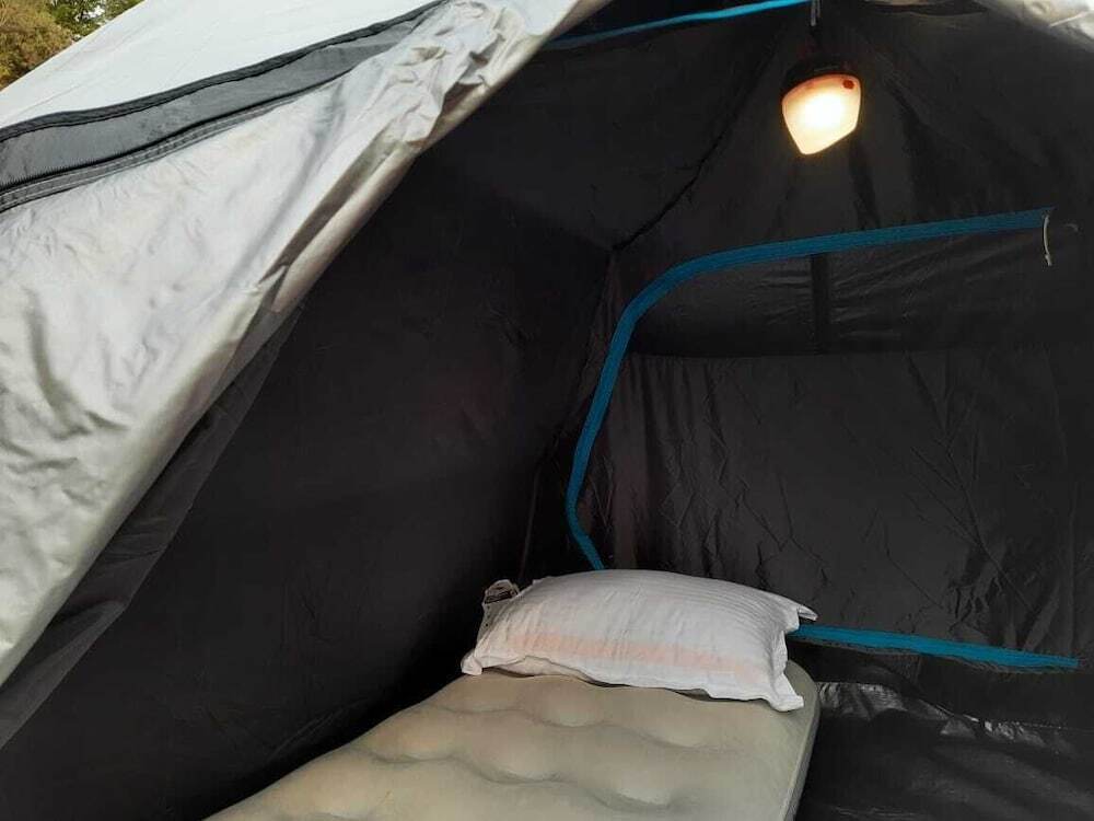 Бир: Camp Cedar