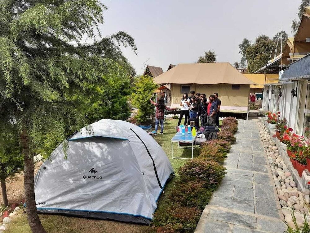 Бир: Camp Cedar