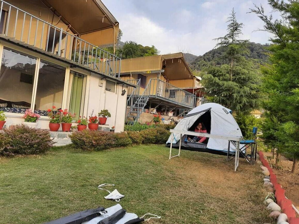 Бир: Camp Cedar