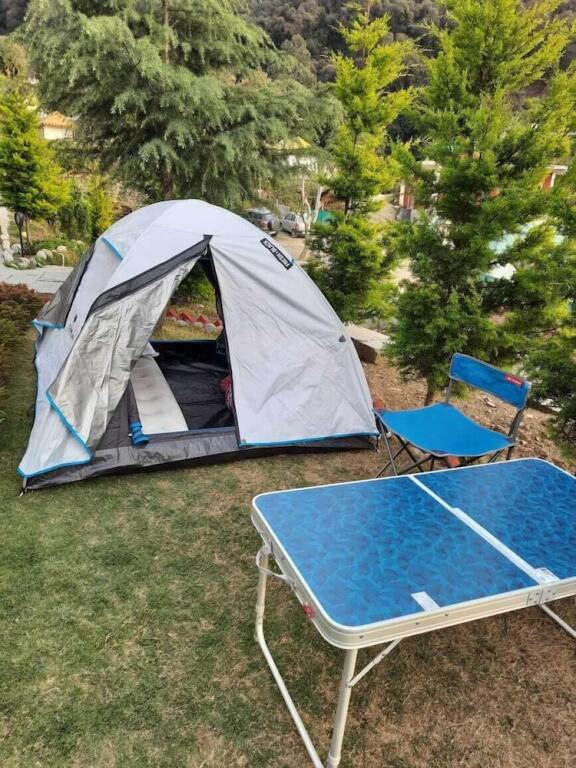 Бир: Camp Cedar