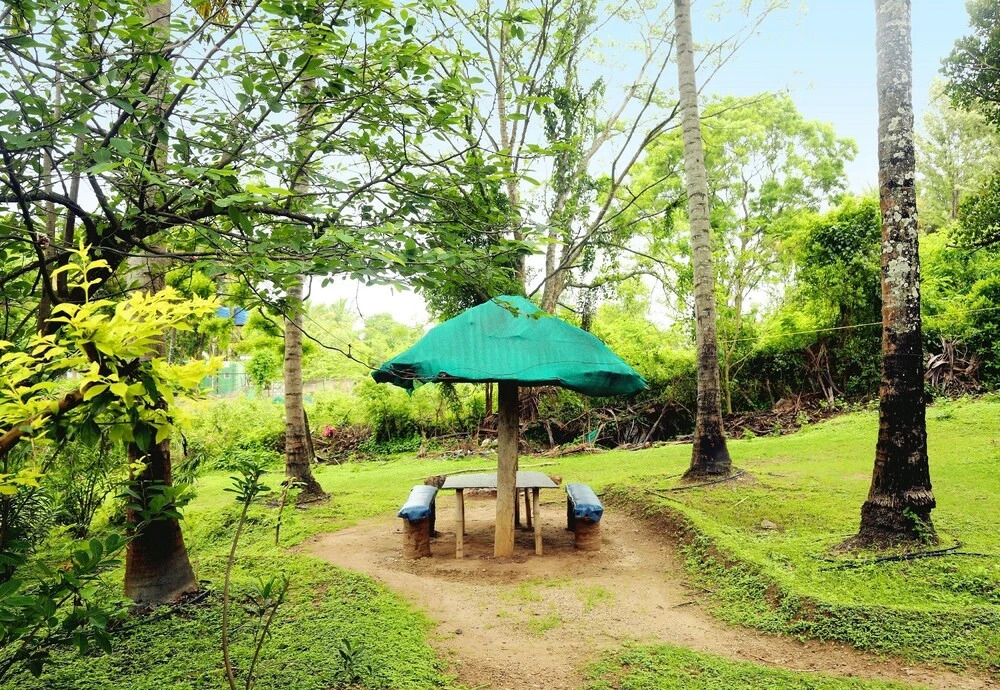 Ути: Jungle Paradise Farm And Guest House