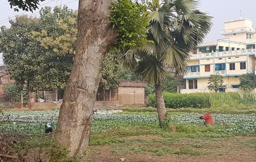 Бодх-Гая: Goroomgo Ansari House Bodhgaya