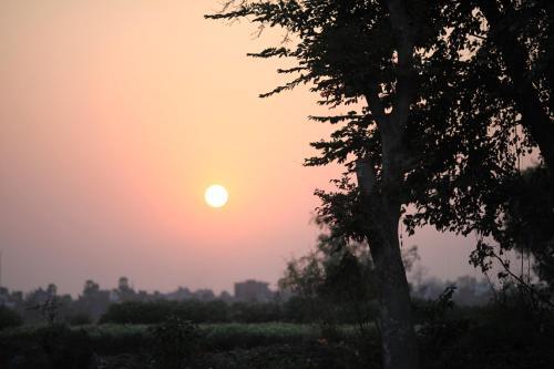 Бодх-Гая: Goroomgo Ansari House Bodhgaya