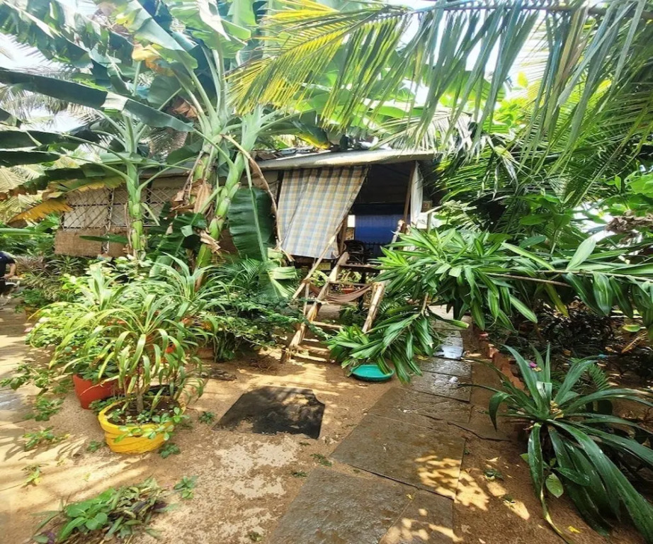 Южный Гоа: Agonda Secret Garden