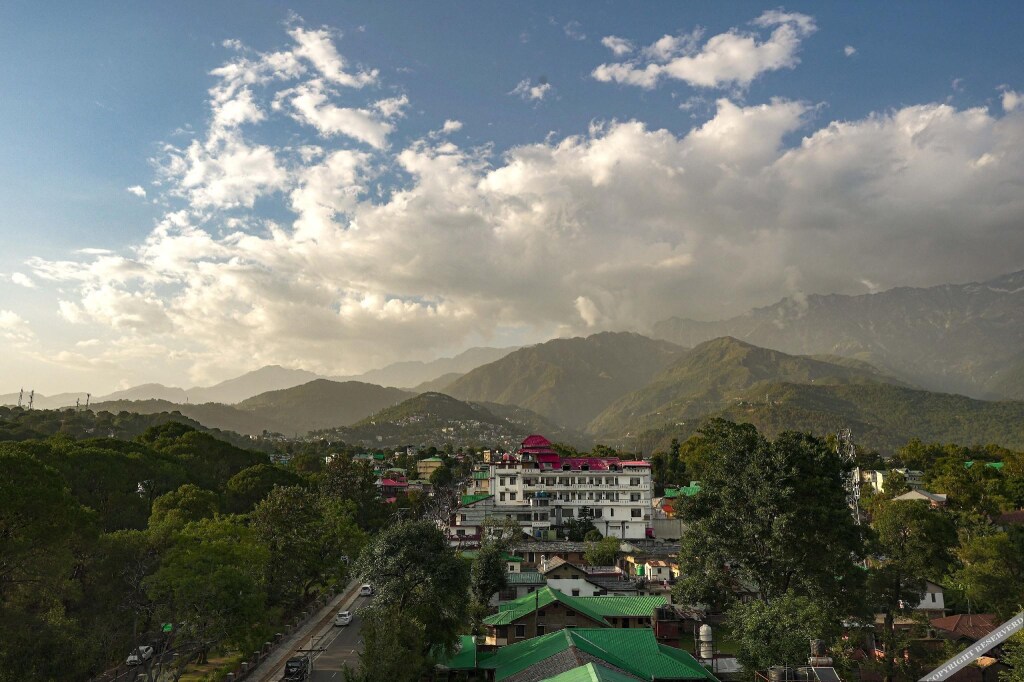 Дармсала: Infinitea Centric Dharamshala